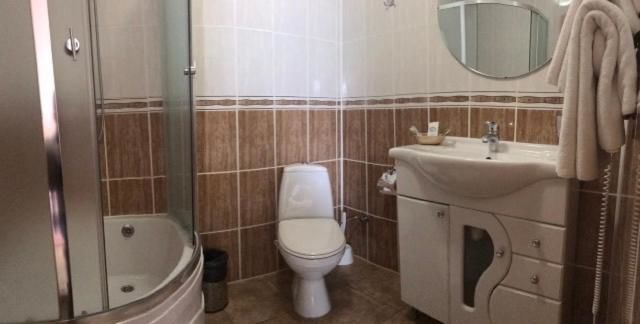 Отель Комплекс Вивчарык Сколе-6